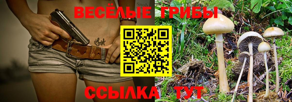 Псилоцибиновые грибы мицелий  Псилоцибиновые грибы Cubensis  Вход с VPN  Долгопрудный 